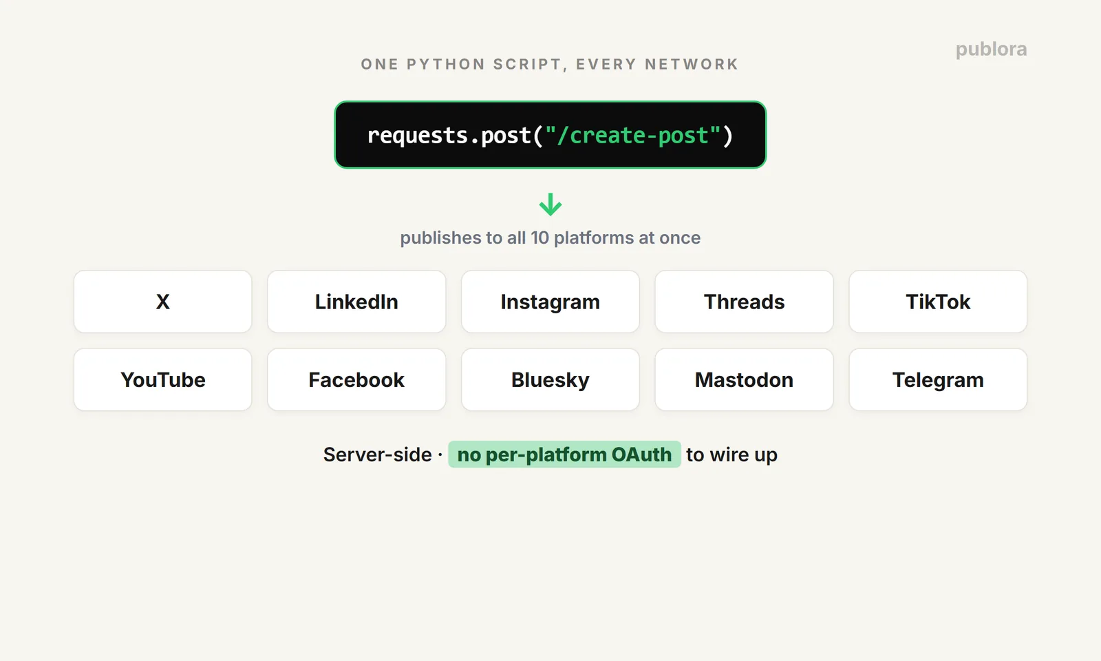 One Python script sends a single request that publishes to all 10 Publora platforms