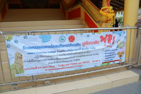 Mobile Sterilization Initiative for Stray Dogs in Koh Samui