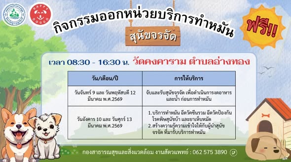 Koh Samui's Stray Dog Sterilization Outreach 2026