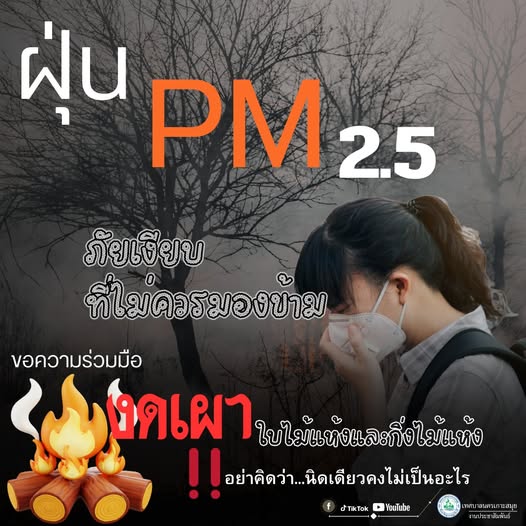 PM2.5 Dust: Addressing a Major Public Health Concern in Thailand